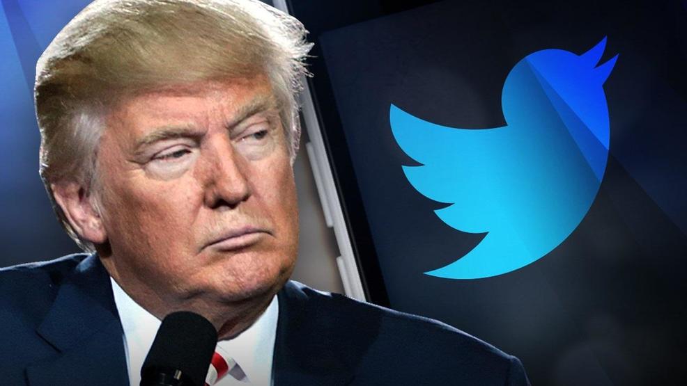 Twitter had become the Fox News of Social Media catering only to Trump. When he falls off as with Hitler his media will have to go too.